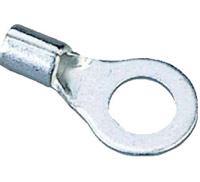 Terminal Ring